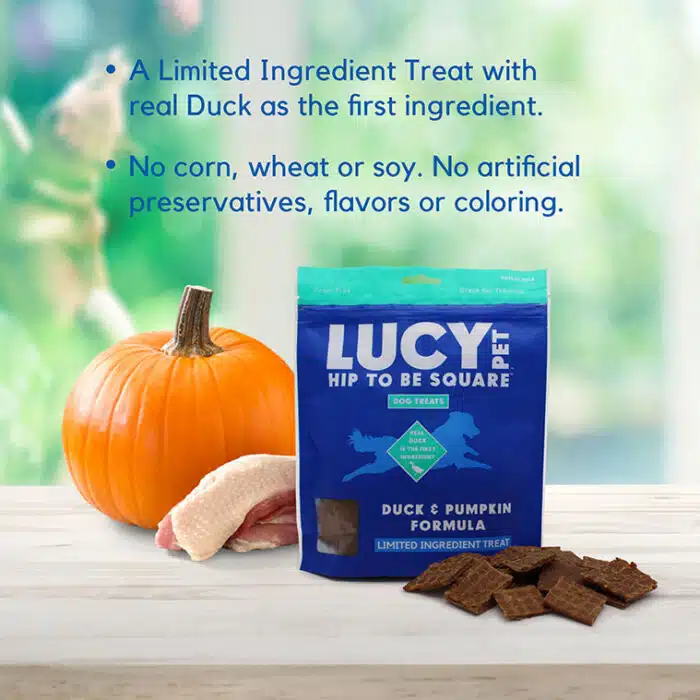 Hip to Be Square™ Duck and Pumpkin Dog Treats - Image 3