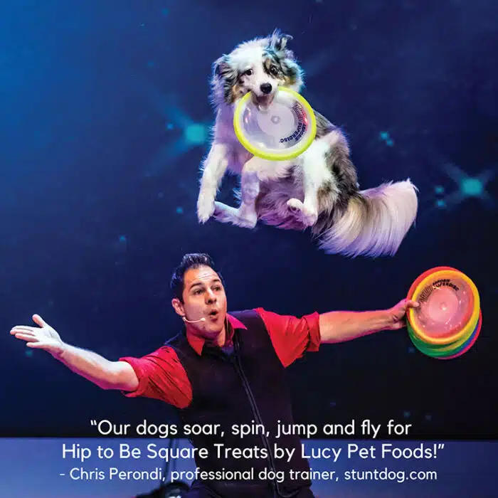 Hip to Be Square™ Duck and Pumpkin Dog Treats - Image 8