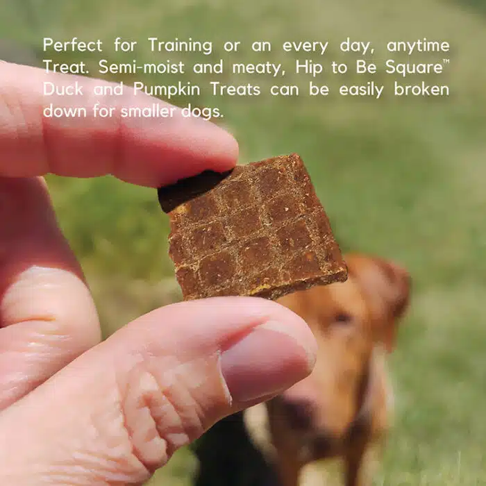 Hip to Be Square™ Duck and Pumpkin Dog Treats - Image 6