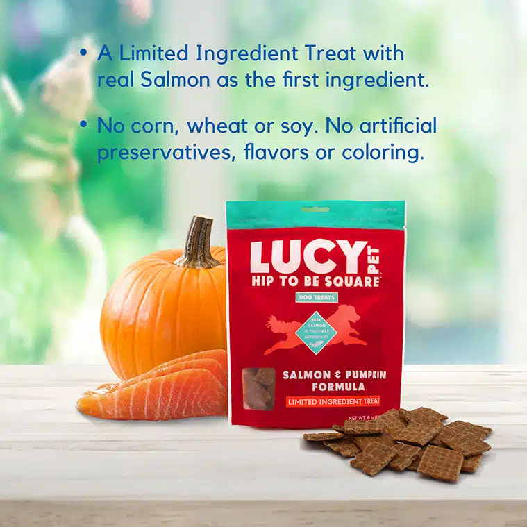 Salmon pumpkin dog treats new arrivals