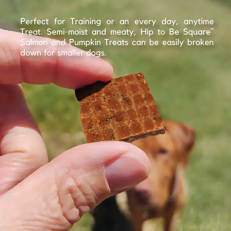 Square dog treats top