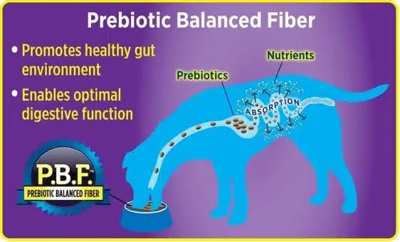 prebiotic