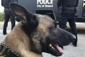 Police_K9