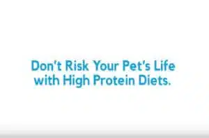 High Protein Diets