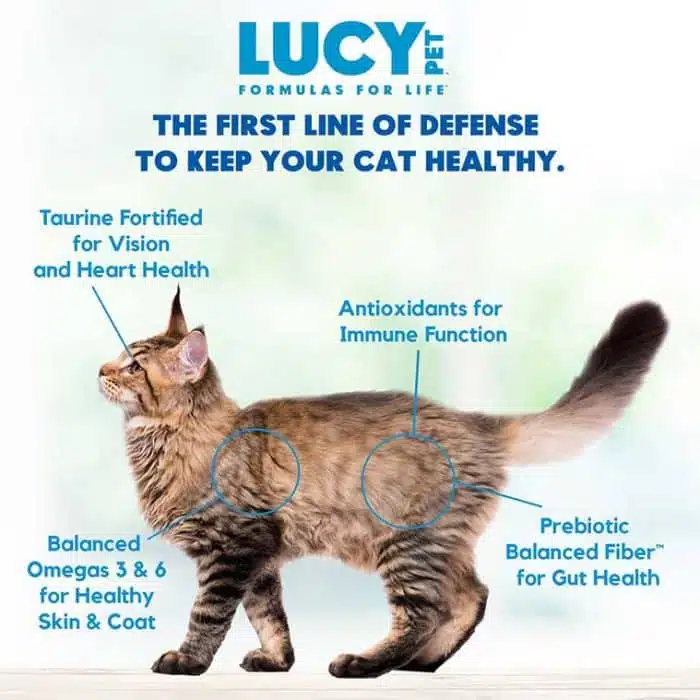 Lucy Pet® Salmon, Pumpkin, and Quinoa Cat 10 Lb - Image 8