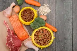 Salmon for Dogs