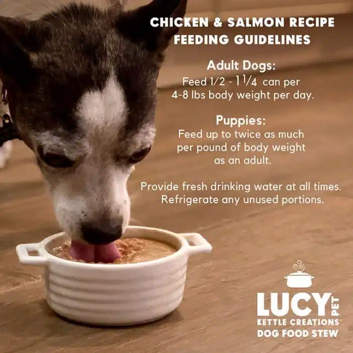 Kettle Creations® Chicken and Salmon Dog Recipe in Gravy- Case of 12 - Image 4