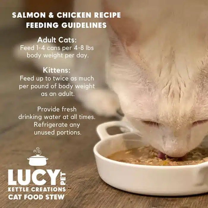 Kettle Creations® Salmon and Chicken Cat Recipe in Gravy- Case of 12 - Image 6