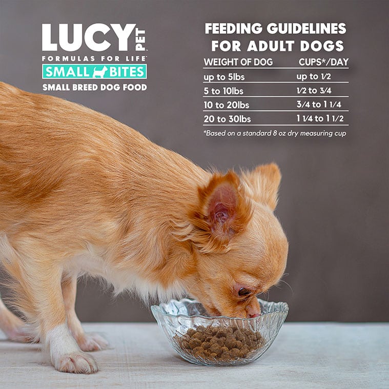 Best Chicken Rice For Dogs Limited Ingredient Dog Food Lucy Pet Products