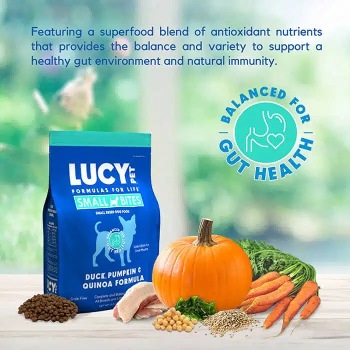 Duck, Pumpkin and Quinoa Dog Food SMALL BITES 4.5 LB - Image 5