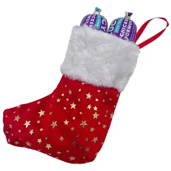 Mini Full O' Cheer Stocking - Image 6