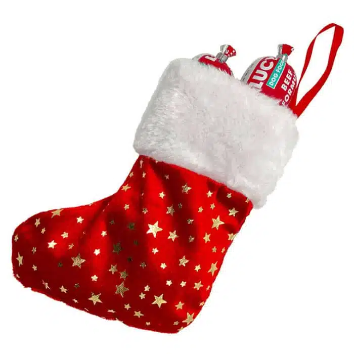 Mini Full O' Cheer Stocking - Image 2