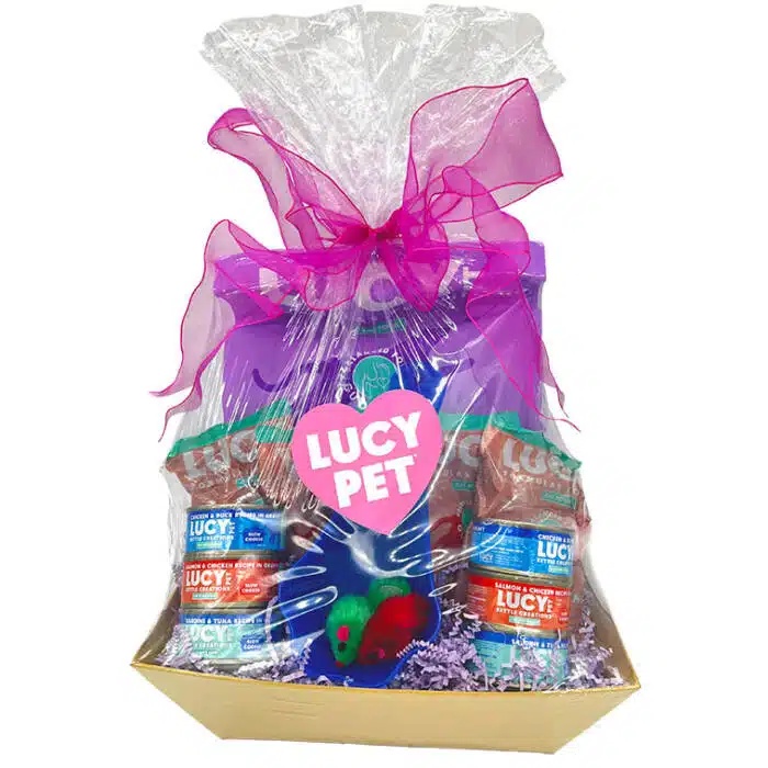 Cat food gift basket-Chicken - Image 2