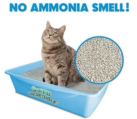 Cats Incredible Lucy Pet Products Ammonia Free Cat Litter